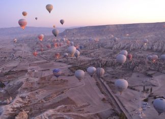 Sumptuous Seafood Creations