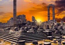 Shock and Fear Spread Across Bulgaria and the U.S.