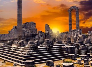 Shock and Fear Spread Across Bulgaria and the U.S.