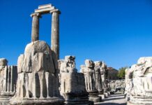 Suspicious Role of Cyril Vaciloff